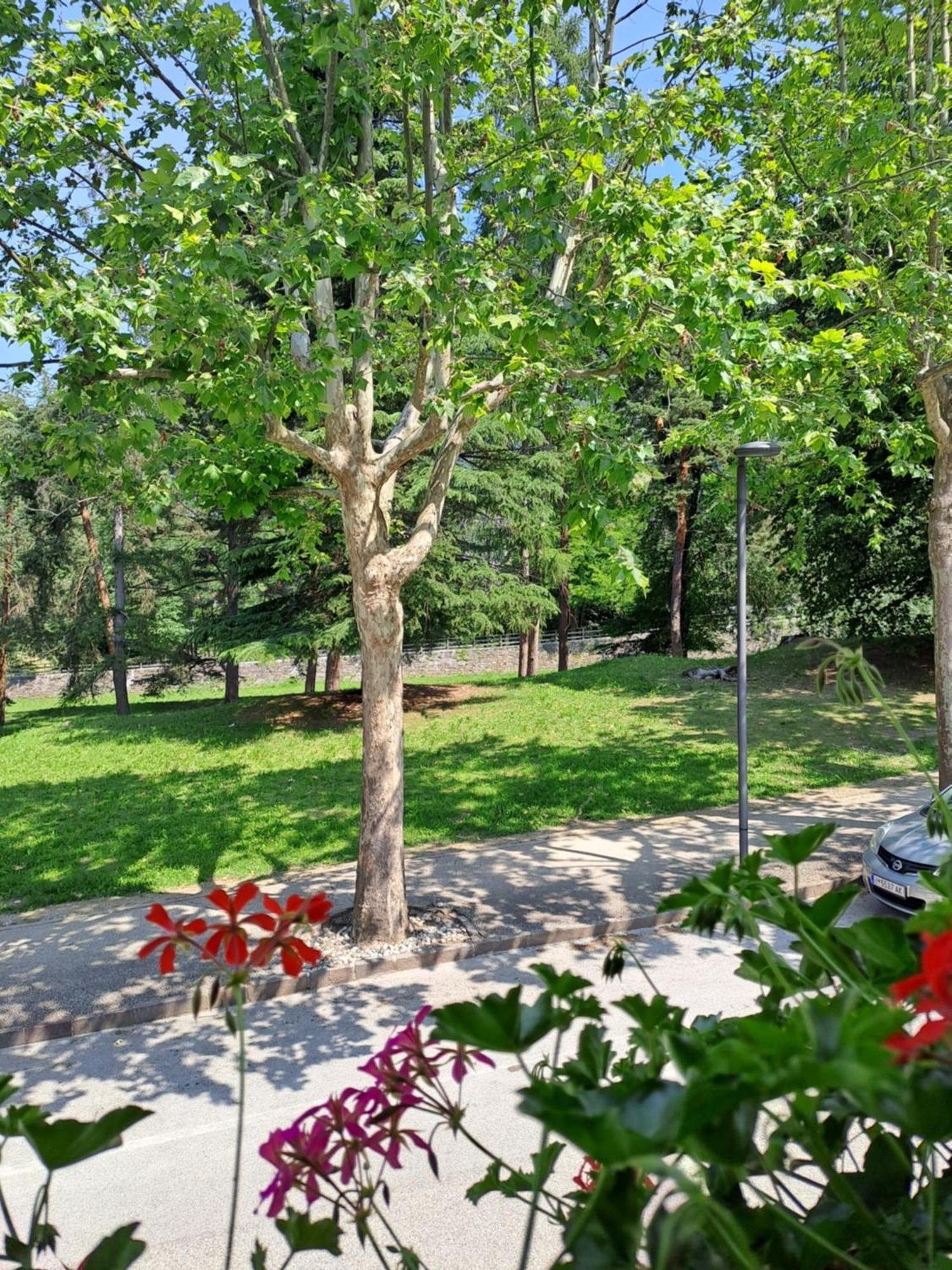 Casa Alby Διαμέρισμα Levico Terme Εξωτερικό φωτογραφία