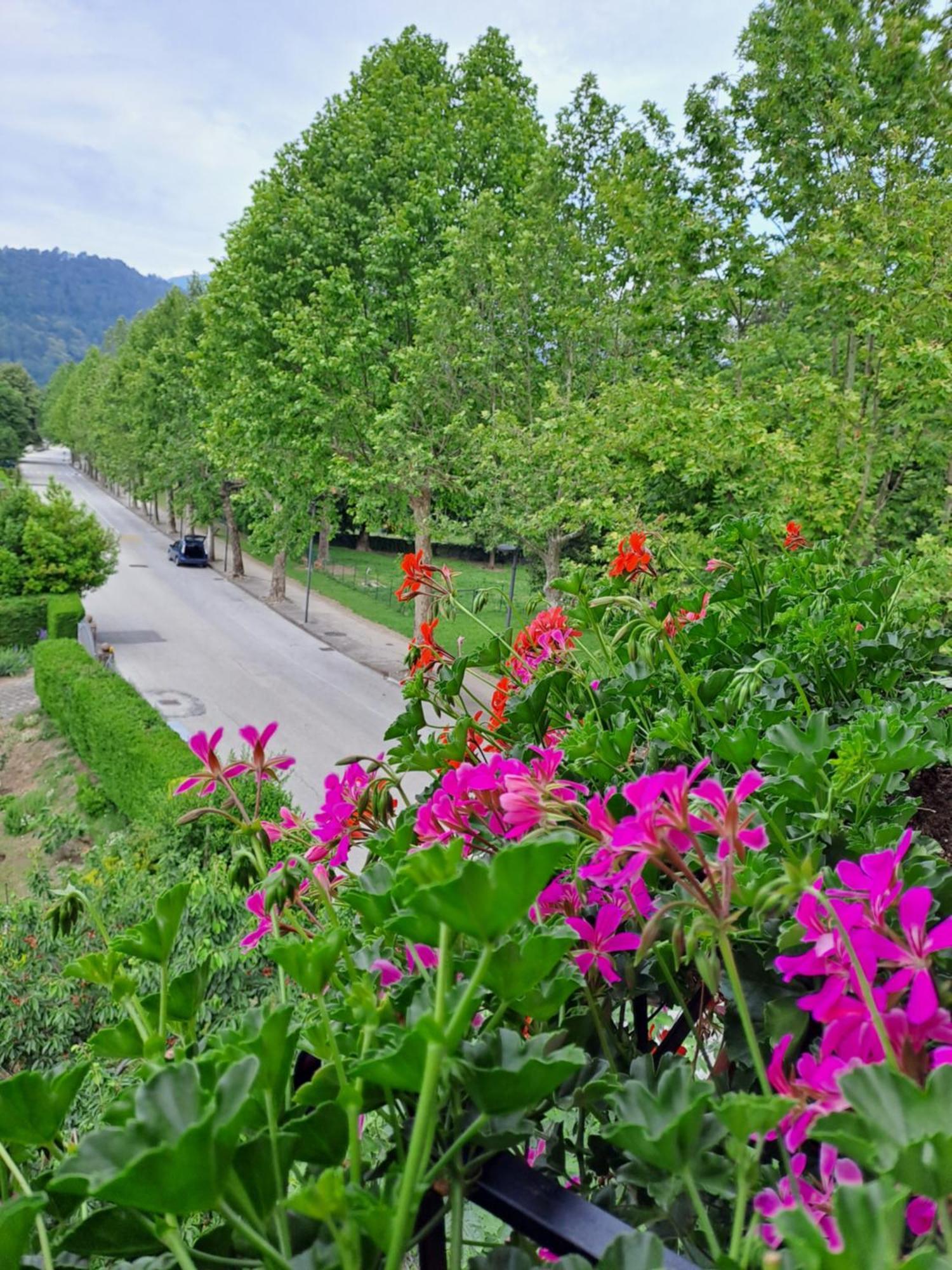 Casa Alby Διαμέρισμα Levico Terme Εξωτερικό φωτογραφία